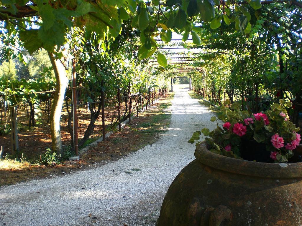 Valle Degli Arci Castel Madama Exterior foto