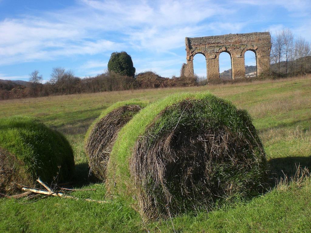 Valle Degli Arci Castel Madama Exterior foto